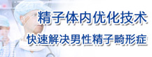 精子體內優化技術